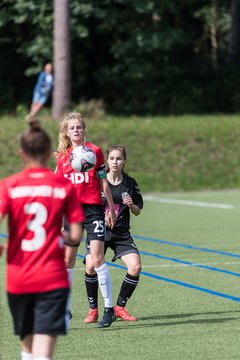 Bild 148 - wBJ Harburger TB - Hannover 96 : Ergebnis: 2:2